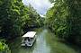 Daintree River cruise